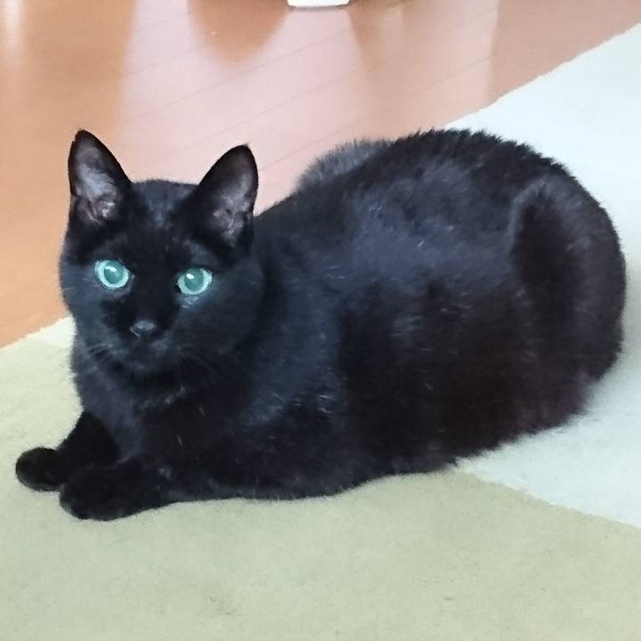 539edec0 9f82 4d3e 8ba3 25dd0af37803 1572155814457