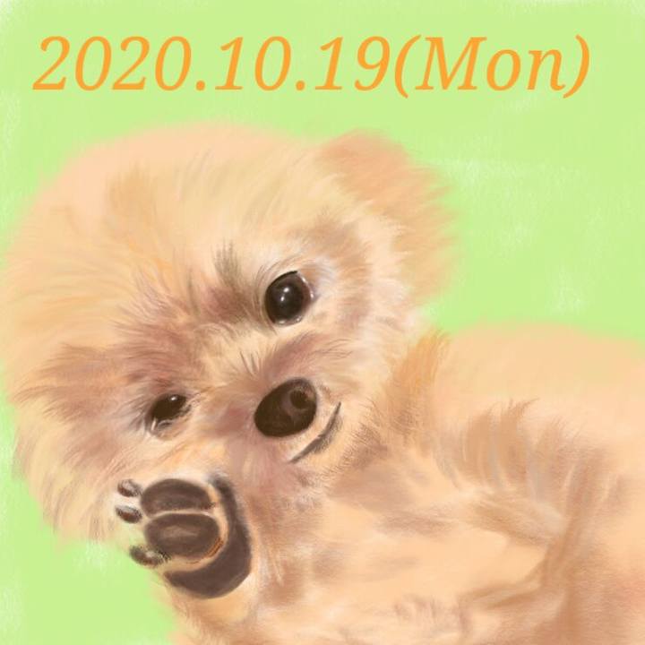 539ee15d 6d93 4877 b352 3cc4df4757d6 1603087033283