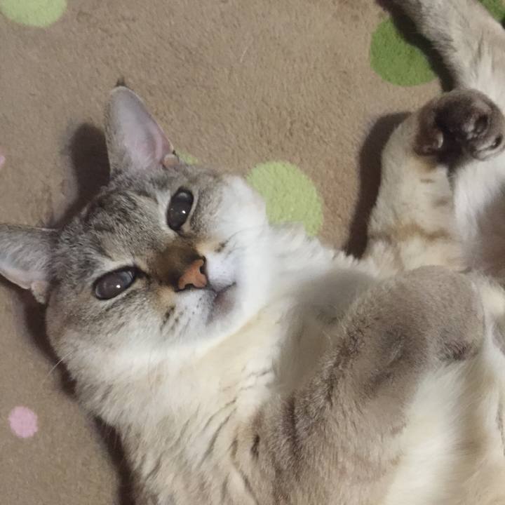 539f2b65 8432 49b3 a389 8b5de5b3f36b 1545083561378