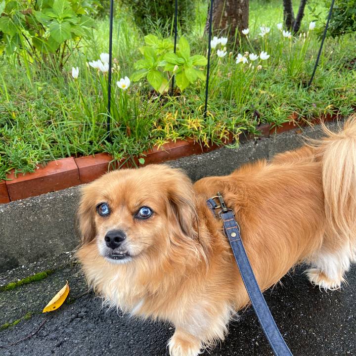 539f3ffc 04e3 441d 80e8 e4bcef59d44a 1599964676668