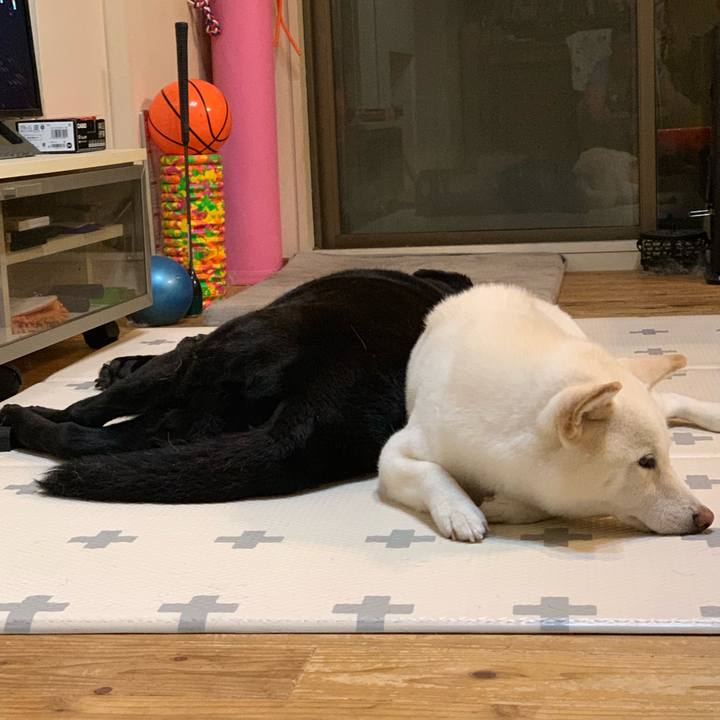 539f65e8 046b 4703 a085 29c83ff1c2cc 1564056138367