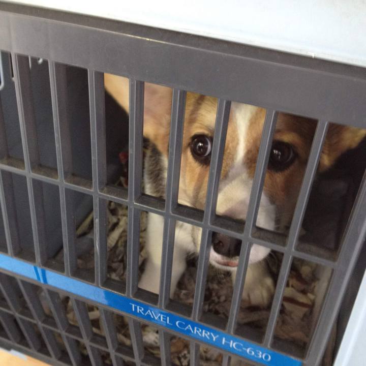 539f81fa c335 4d12 9727 a280a809ca4f 1767077225432