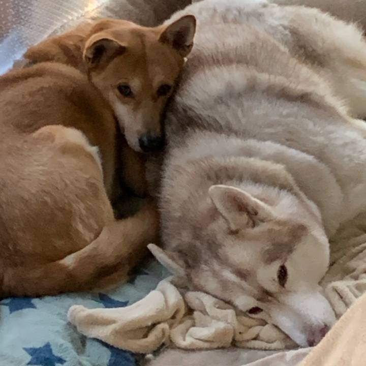 539f9147 4026 4d10 8228 04b7c75be9d6 1647065381406