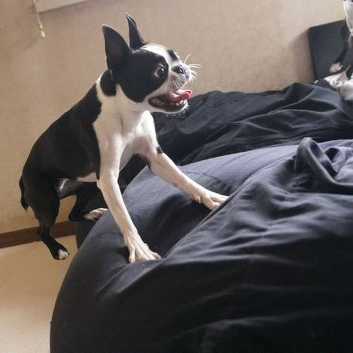 539f9cdf e209 4edf 96cf 648ae4ea5896 1530158273045