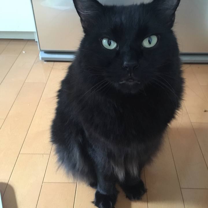 539fa0ba 1acf 4f76 8b95 c5964858c9b8 1537417212025