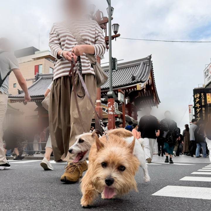 539fab87 b658 44c7 a95b 28fabd233a1d 1760372601098