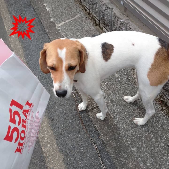 539fb61a 6b67 4d7d a3af 9cd5b8d0ab99 1599721489167