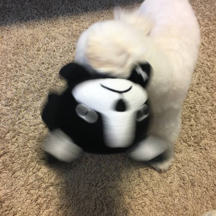 539fc605 054b 4016 ab6a 7da70e35e7c2 1525837369160