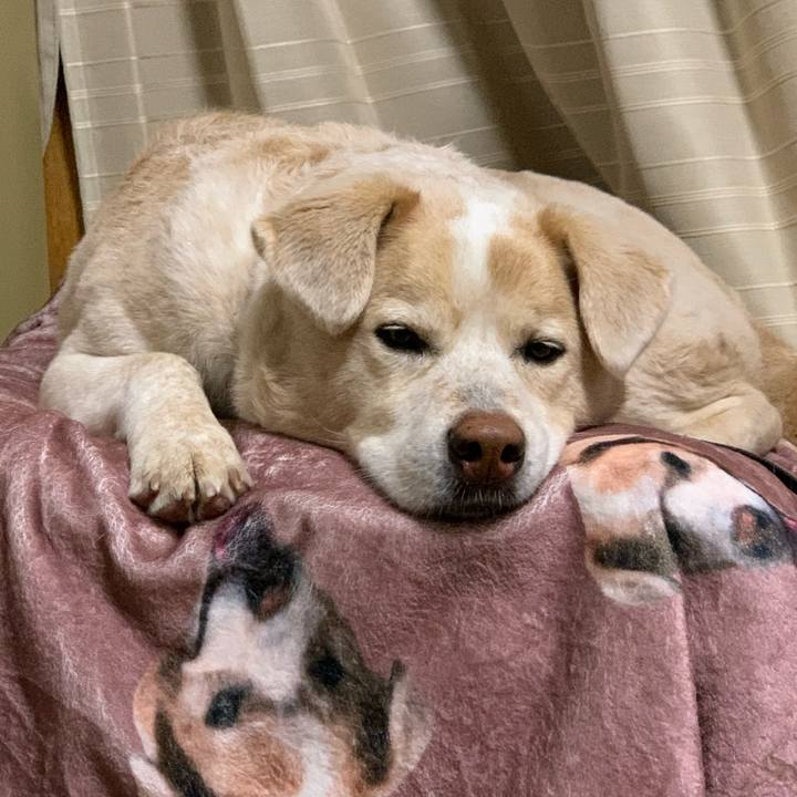 539febd2 bc4d 4eea b4e8 6272a5768f87 1611397975628