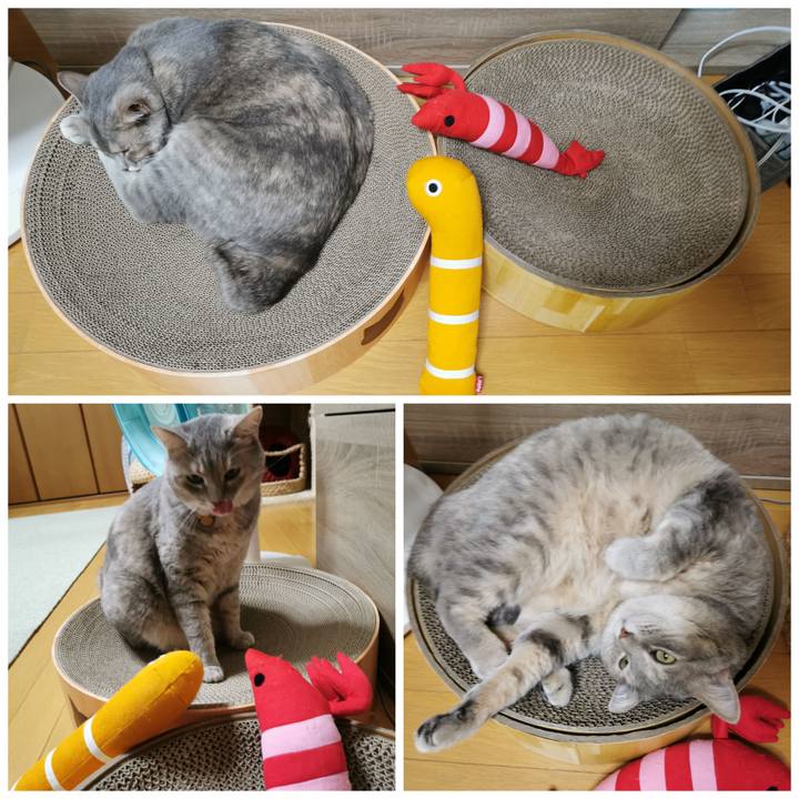 53a00fb5 f230 4eea be05 d6b7446422da 1629467945183