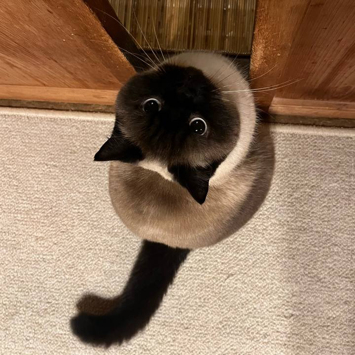 53a012d6 c543 4b23 a89e 16e41d6de026 1673608514709