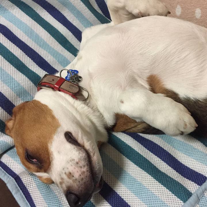 53a05655 2247 4c80 8f99 6df8a7d95af8 1523839393815