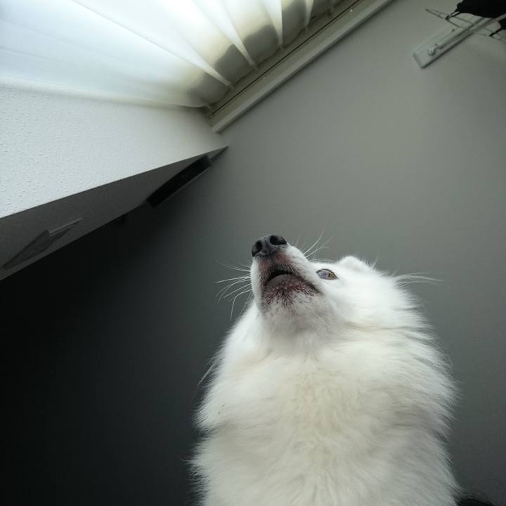 53a06289 3355 43fd 89dd 17248cdf8f8b 1533172233377