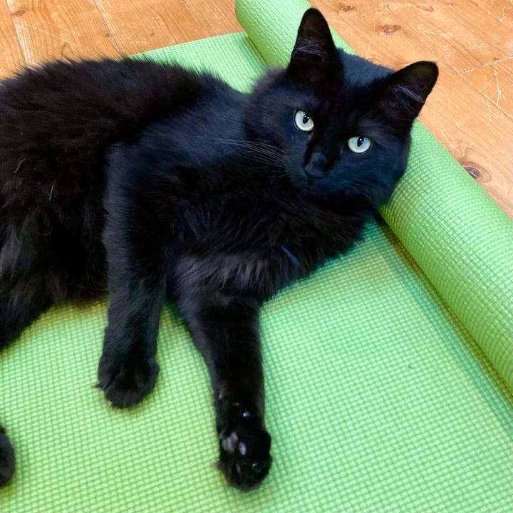 53a07241 9522 4e22 af58 96bf3d885874 1748314535127