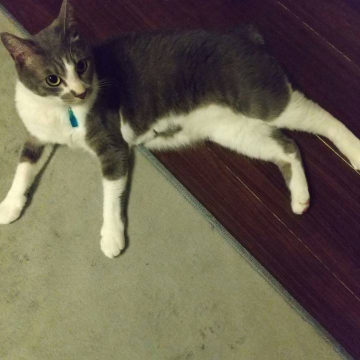 53a08f1b f027 41a7 adbd e03eb06645b0 1619612803782