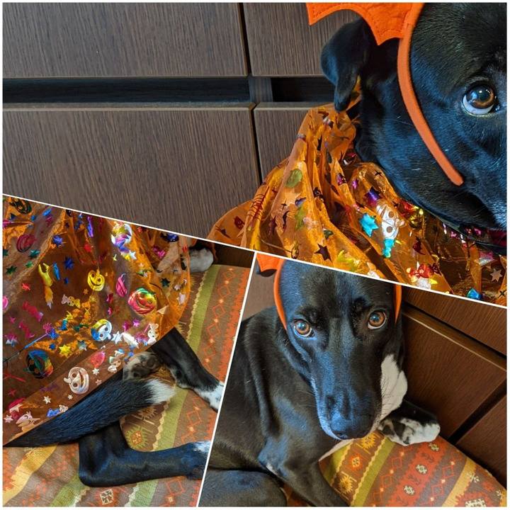 53a0a1ee 7892 4520 add9 a859a5fa1187 1630912034228