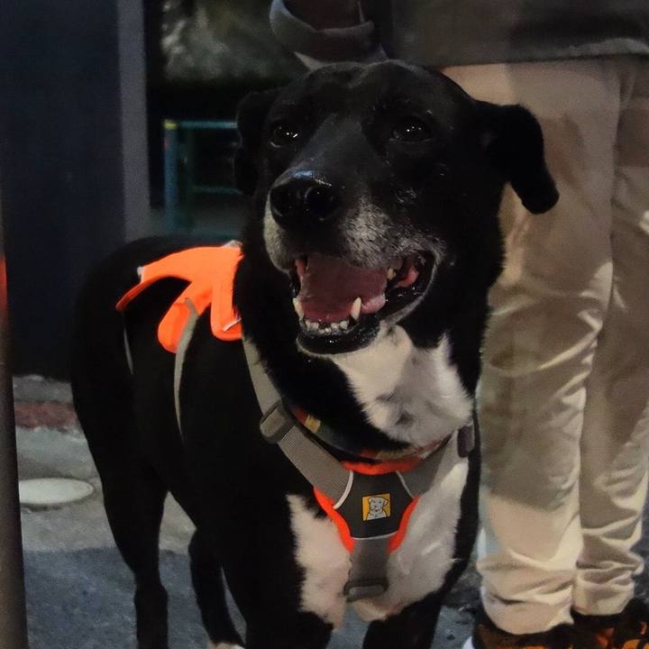 53a0e333 5545 4c7b a685 30882c9adc06 1710327932944