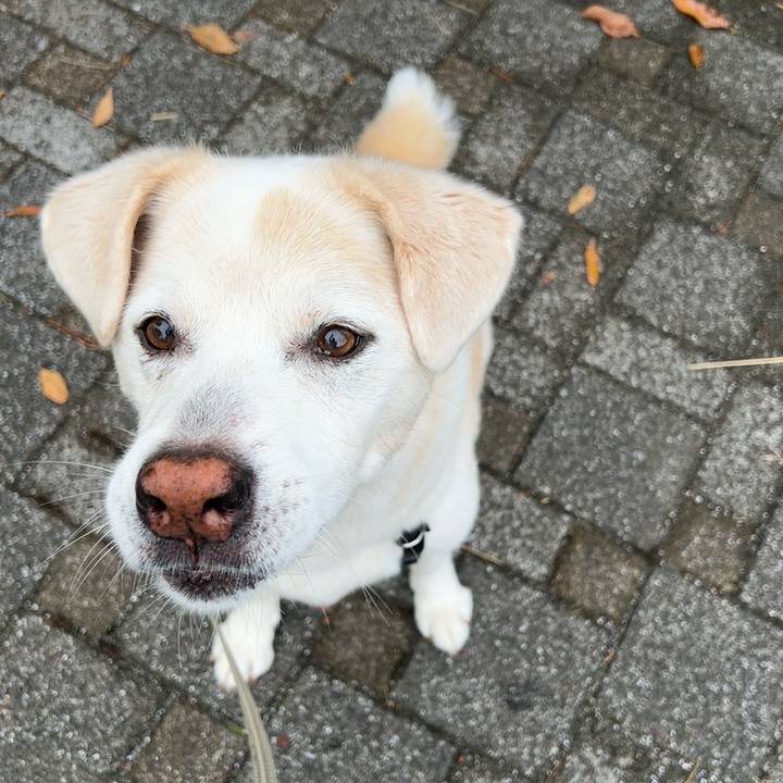 53a0f1cf b156 47ad ac4c 79aa31f99587 1760234851218