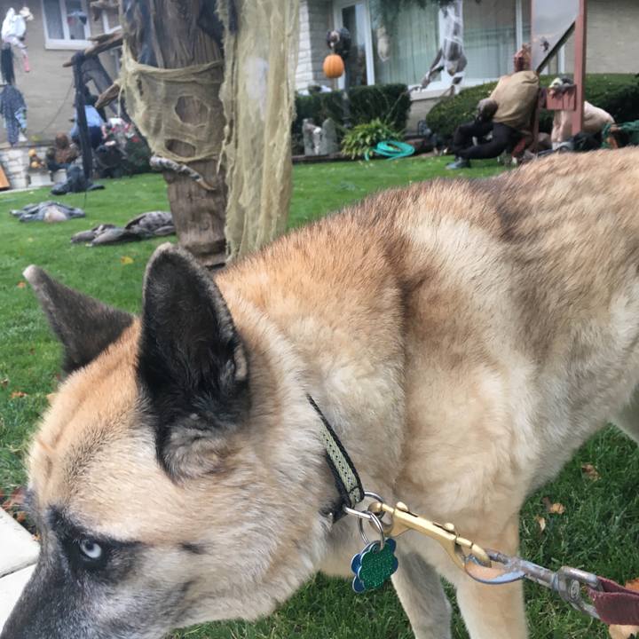 53a195f7 59e0 4f72 ade4 d76f87122bb7 1572488159958