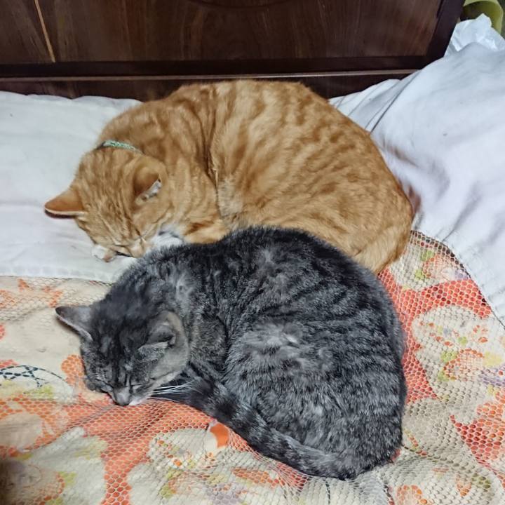 53a1cdfc 443a 4caa ba15 699a43b0894d 1584192828419