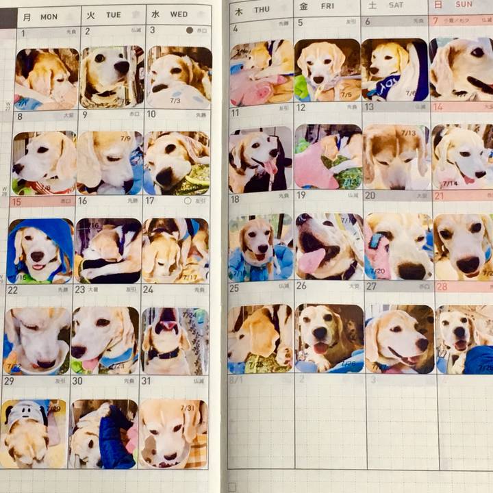 53a1dbb8 3d4a 4e5b 9c7a e29f556ce7b8 1565495437587