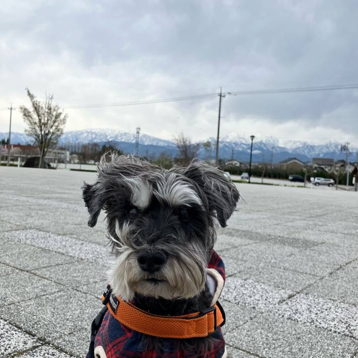 53a1dce1 f1b6 4313 869b 59e293313a98 1775265883279