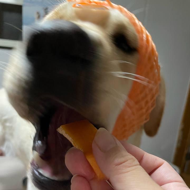 53a1e264 af65 4eca 962b 2e67716e55e7 1657380231635