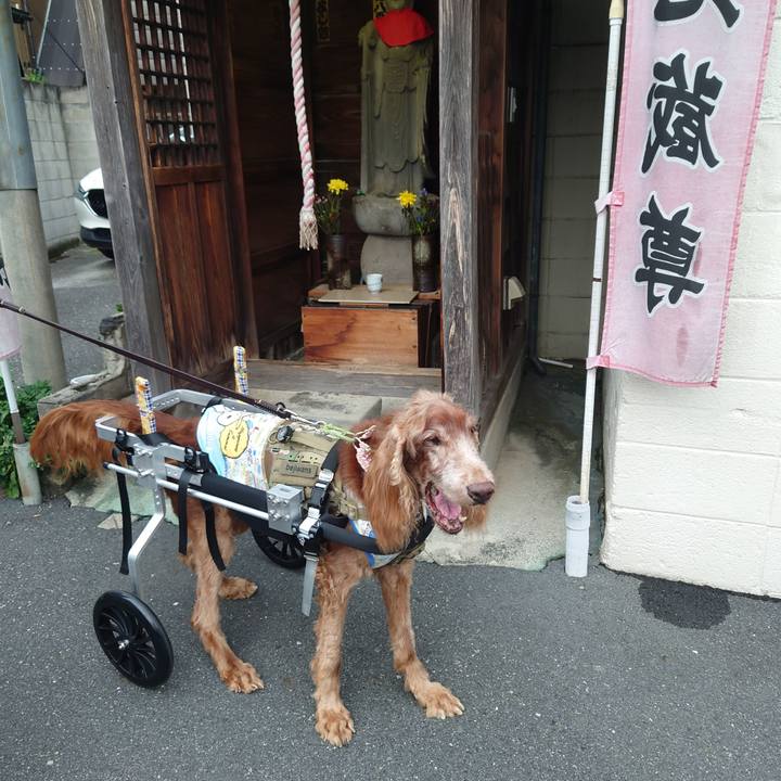 53a1f961 82b2 4d84 815d e073b3c85070 1726497976668