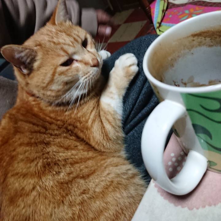 53a222d8 44c8 4a5e a0ea 383401961208 1579035416227