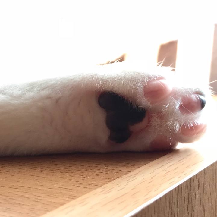 53a22f5c 1067 434c a8f3 9a0d476fa2f5 1524320712644