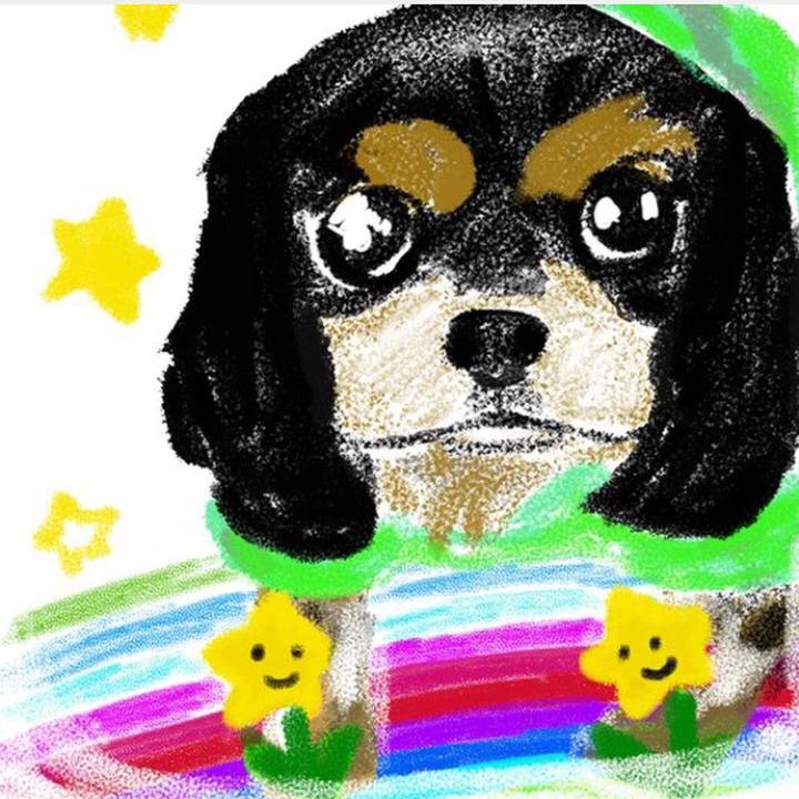 53a24e2d b486 4bba 9573 21bdd7d6415e 1563456630458