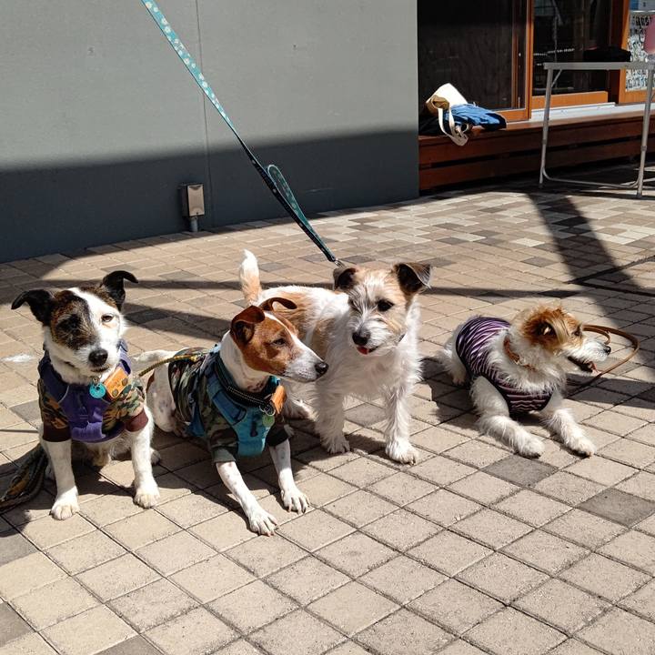 53a2bdc6 a358 487b 8bd9 e36118cbfdd4 1711873630035