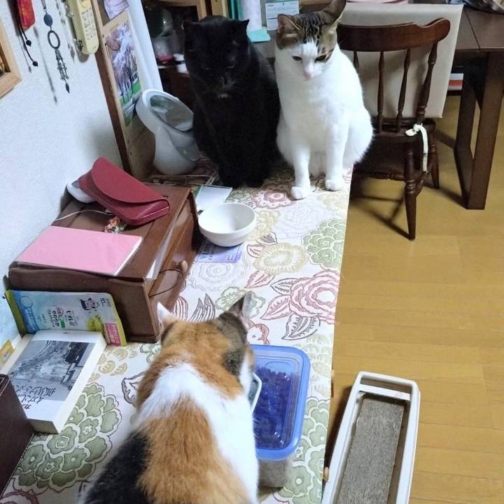 53a2e39c cda4 4491 ba77 46b5fc8420b3 1725971927836