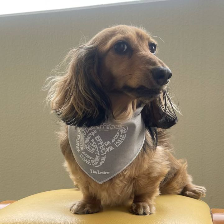 53a2e56e 281f 49f7 a6a8 46bfe692f9e1 1716862229984