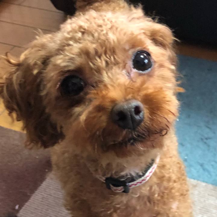 53a31c39 5c8b 44c6 8ea2 6b9d15bf4f05 1533681803093