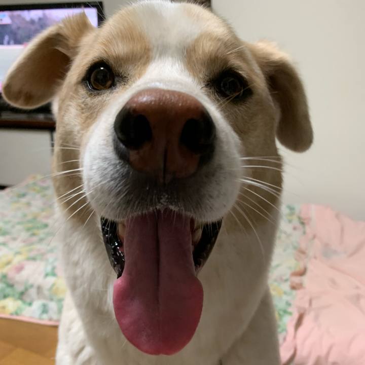 53a31d1a 9756 48e3 8b2a cfd8234192b6 1567772557953