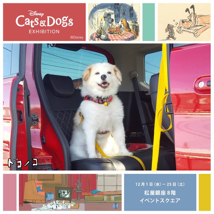 53a352fe d90c 4569 927e d3bbafba947e 1638416823718