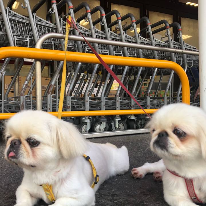 53a35355 f095 4a33 b746 f48d1945a800 1537056177175