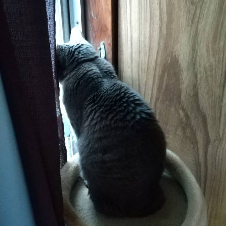 53a35e0b c154 4580 a2e1 864a287b11a3 1670201155365