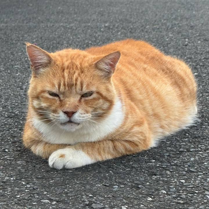 53a3723d b193 4688 9c17 b9e66503d5f3 1755216123231