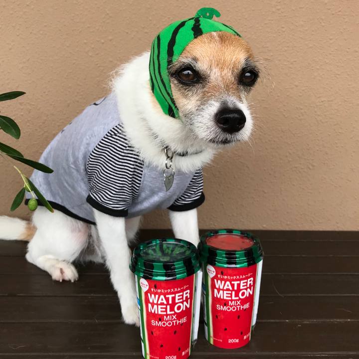 53a3a747 8e2e 4ccf 9750 38d7db06bce3 1563080711930