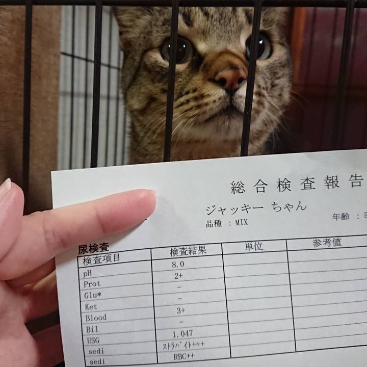 53a3e6e3 66cd 422f 8425 4510a3d3ec1e 1583573300016