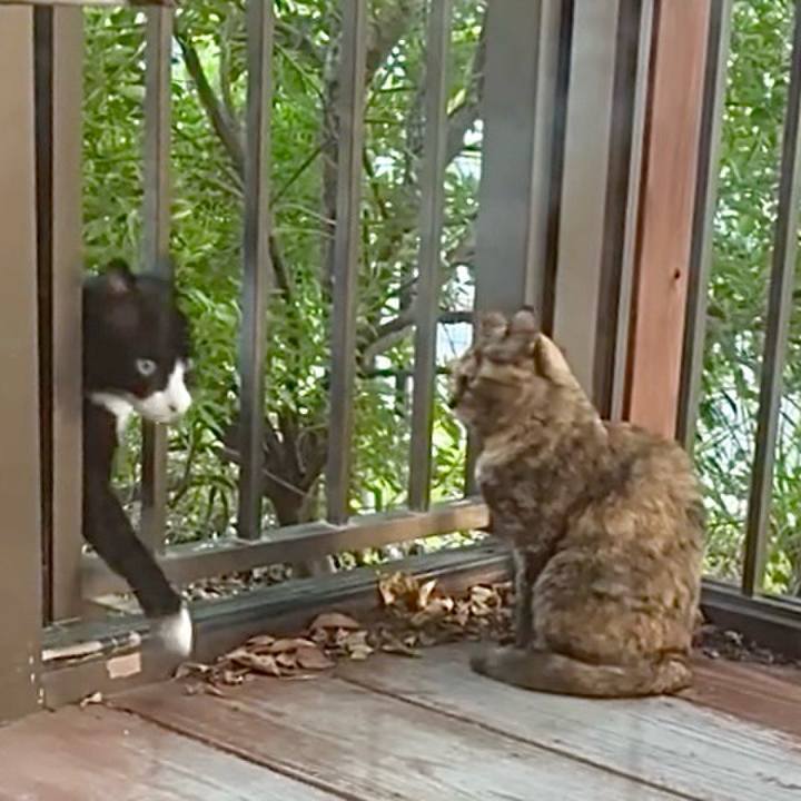 53a3eec5 9843 4112 9815 580d0900a58e 1760090366388