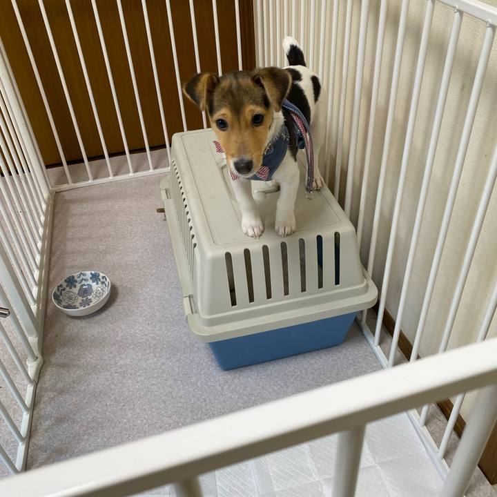 53a3f95d effa 4c2e 872c cff811b5fd0d 1744585956113