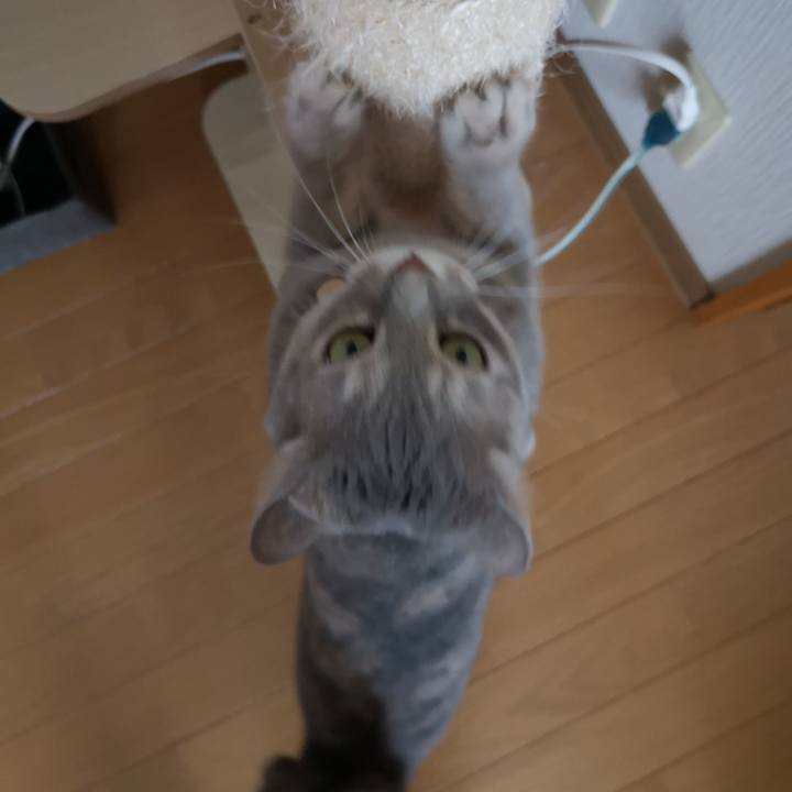 53a402f4 6d40 428d 800b 7a5fa8e3056c 1566612503768