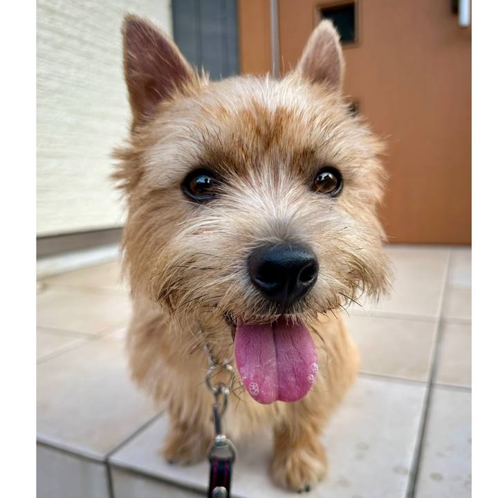 53a47689 4cb1 4620 9c9c af809d930e09 1756949423678