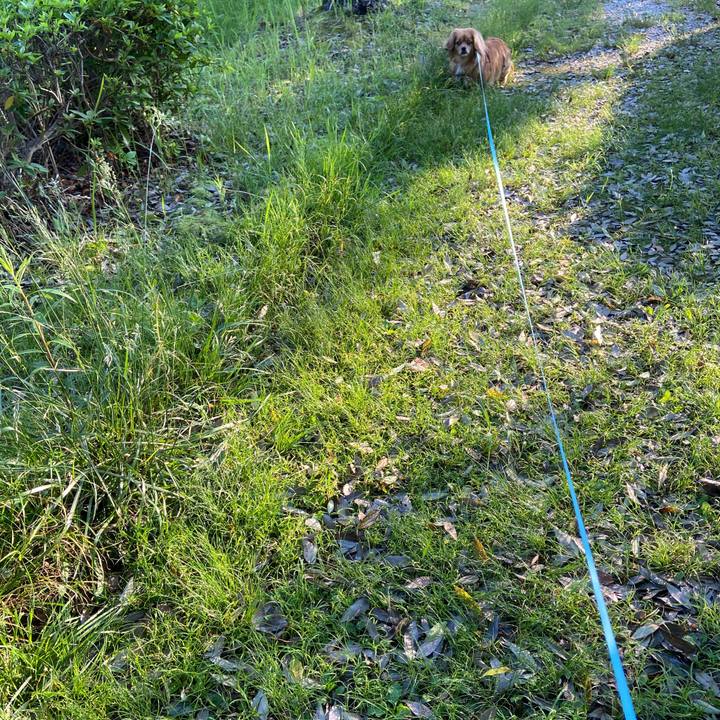 53a4b8b6 9cbe 40c7 9e13 e6dbe5168fb1 1652909769528