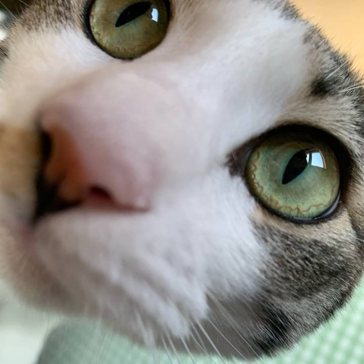 53a50d7f 7815 4e53 b7a5 9c9c6063759c 1774056805701