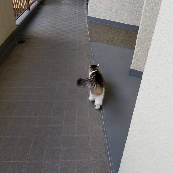 53a52732 678d 465b 9d2c ca482d171276 1532045313757