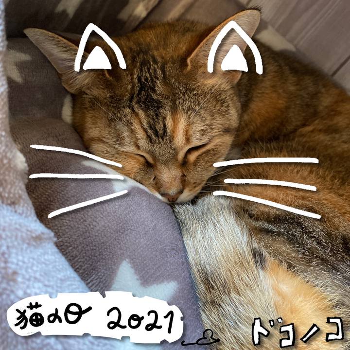 53a62d18 8402 4d23 a1aa 7e5c259eb309 1613978058649